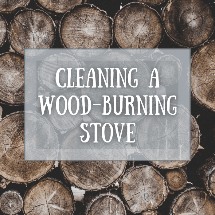 How To Clean My Wood Burning Stove Dengarden 1071