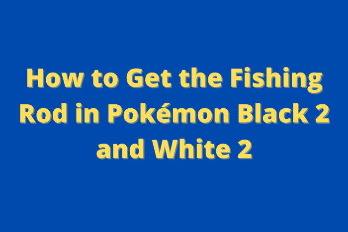 How to Find the Fishing Rod in "Pokémon Black 2" and "White 2" - LevelSkip