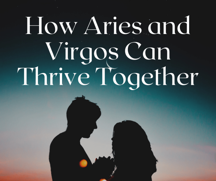 Why Aries and Virgo Attract Each Other PairedLife Relationships