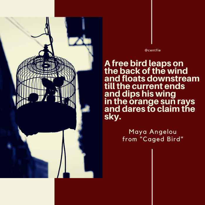 Analysis Of The Poem "Caged Bird" By Maya Angelou - Owlcation - Education