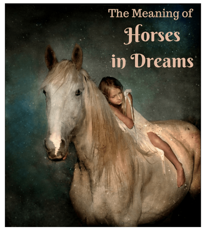 11 Meanings of Dreams About Horses Including Riding, Falling, and More