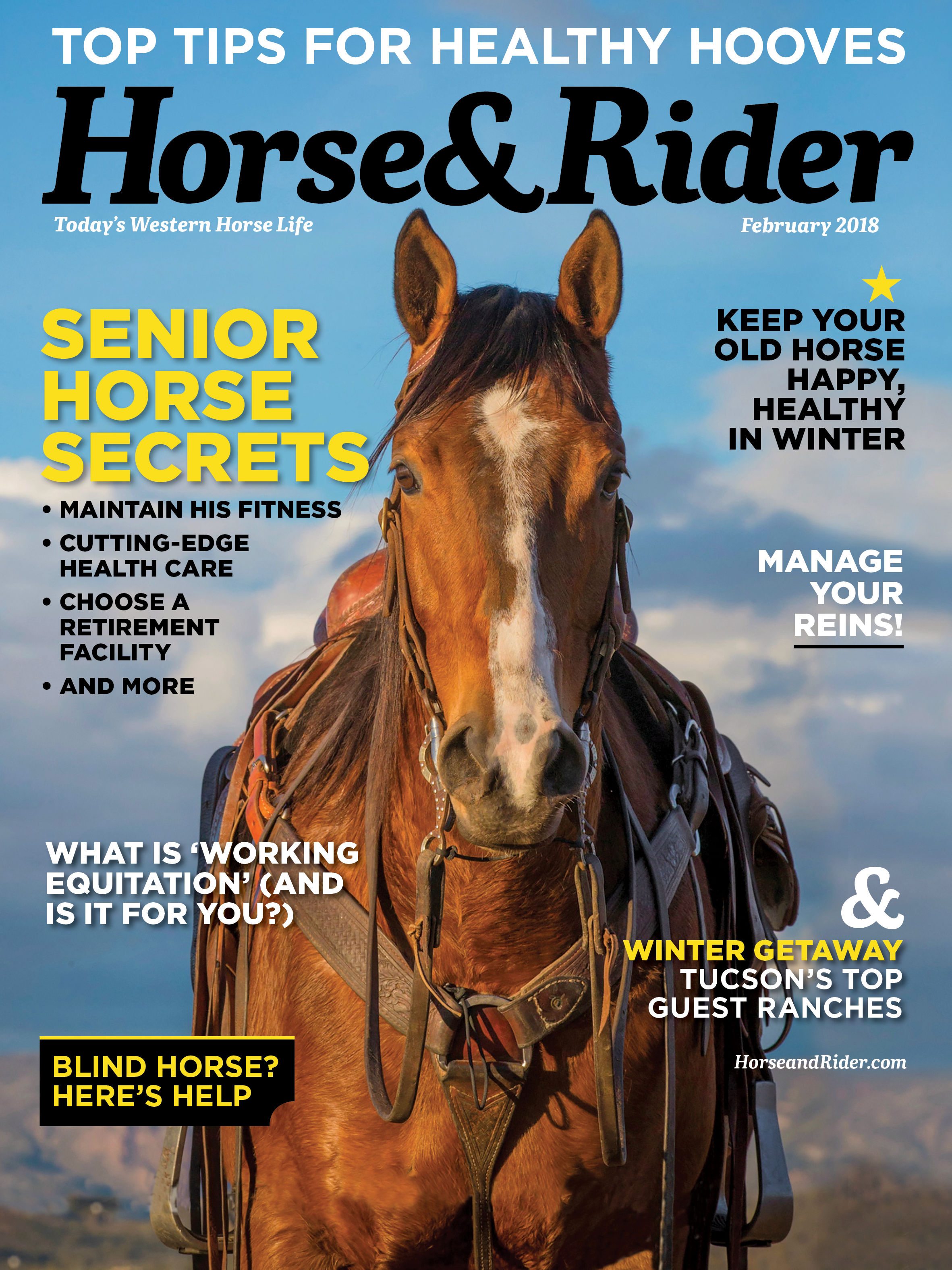 Horse&Rider | February 2018 Issue