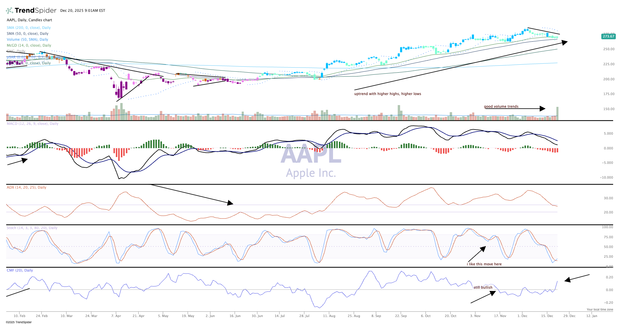 Chart of the Day: Apple Gets Bullish New Price Target Courtesy of Option  Flow - TheStreet Pro