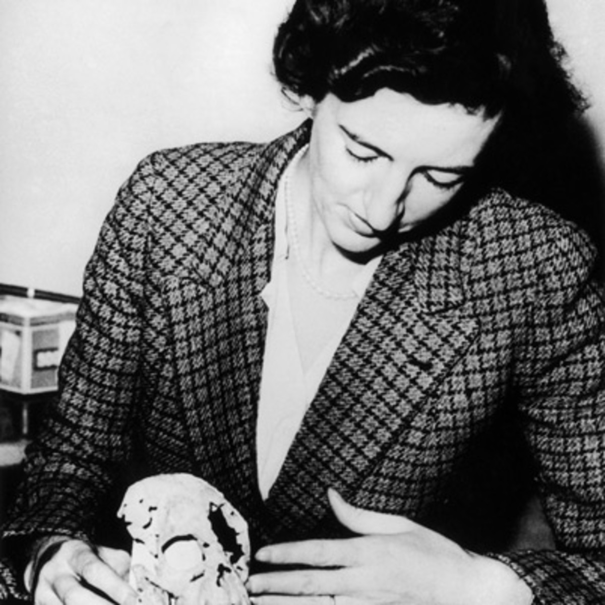 a biography of mary leakey an anthropologist Mary leakey's wiki: biography childhood mary leakey was born mary douglas nicol on 6 february 1913 mary leakey, archaeologist and anthropologist. a biography of mary leakey an anthropologist Mary leakey's wiki: biography childhood mary leakey was born mary douglas nicol on 6 february 1913 mary leakey, archaeologist and anthropologist.