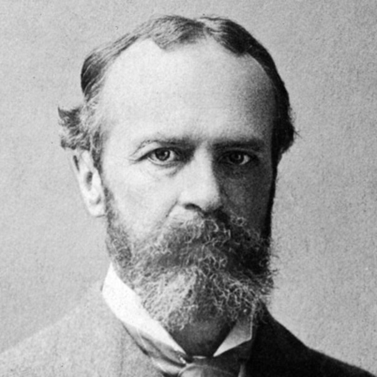 william james basies biography essay william james basies biography essay