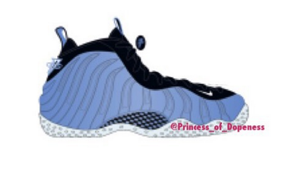 carolina foamposite pro