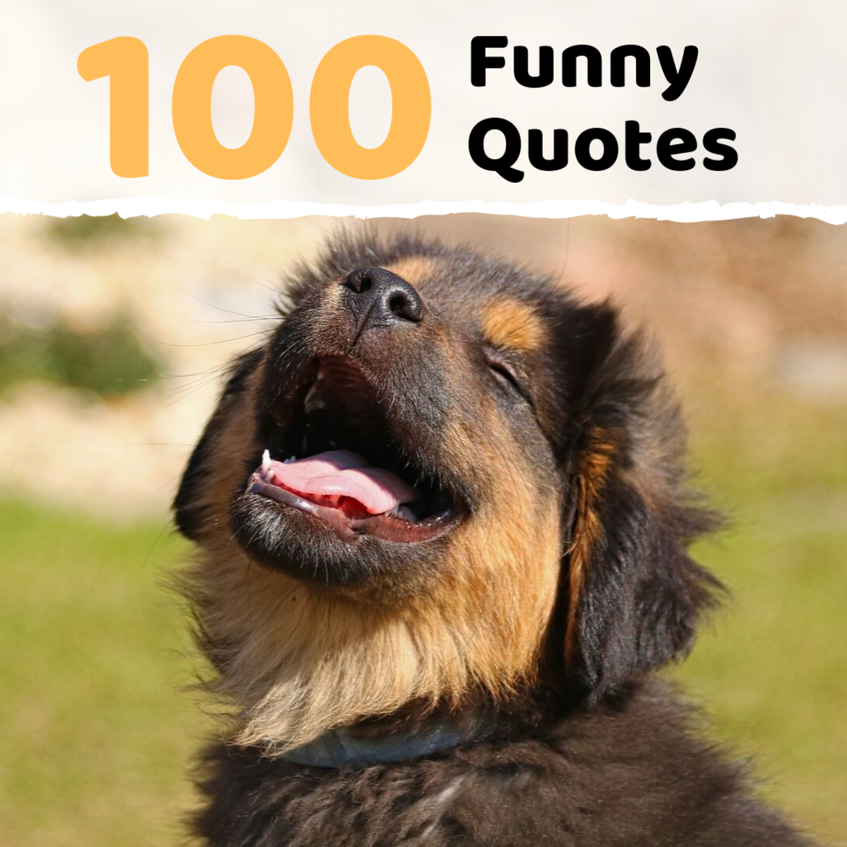 100 Funny Sayings, Quotes, and Phrases