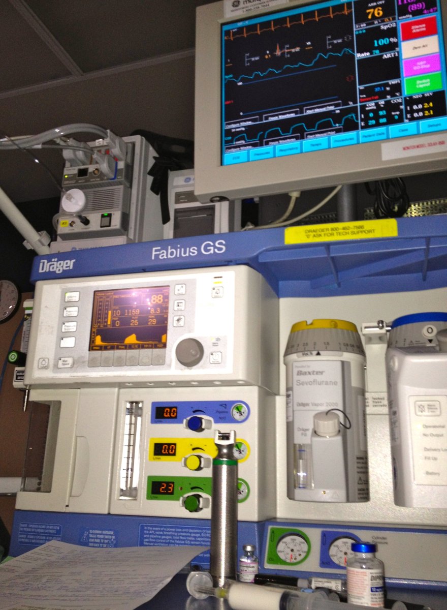 How Does Anesthesia Gas Work HealthProAdvice
