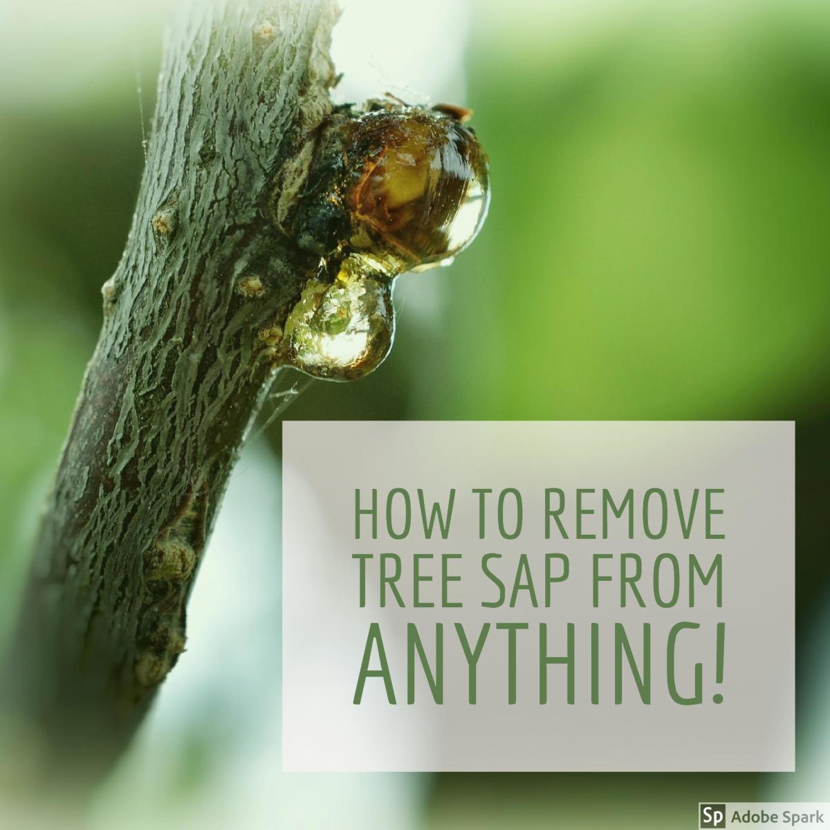 How to Remove Sticky Tree Sap or Pine Pitch From Almost Anything