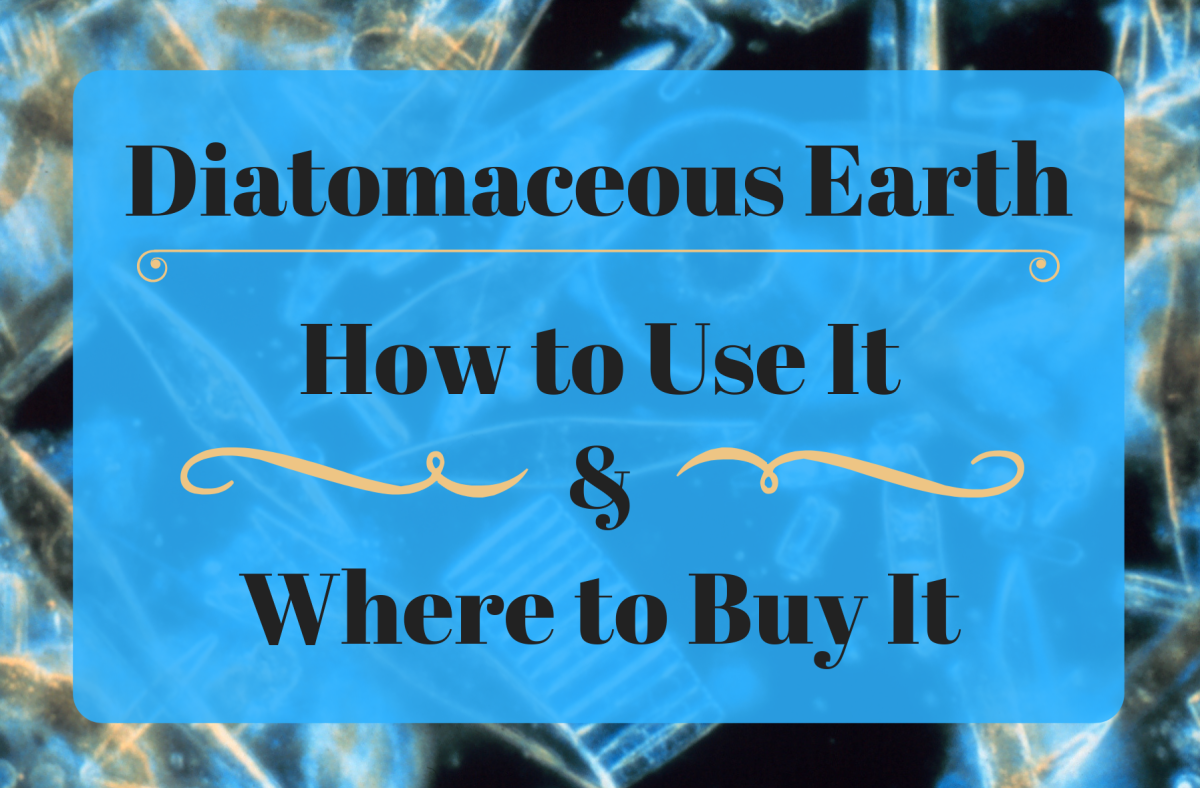 How to Use Diatomaceous Earth and Where to Buy It