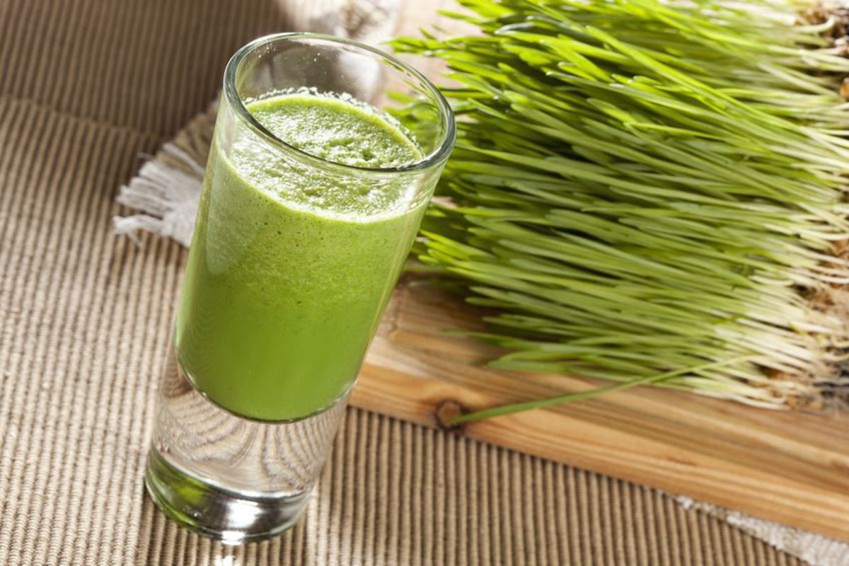 Freshly cut wheatgrass is the best.