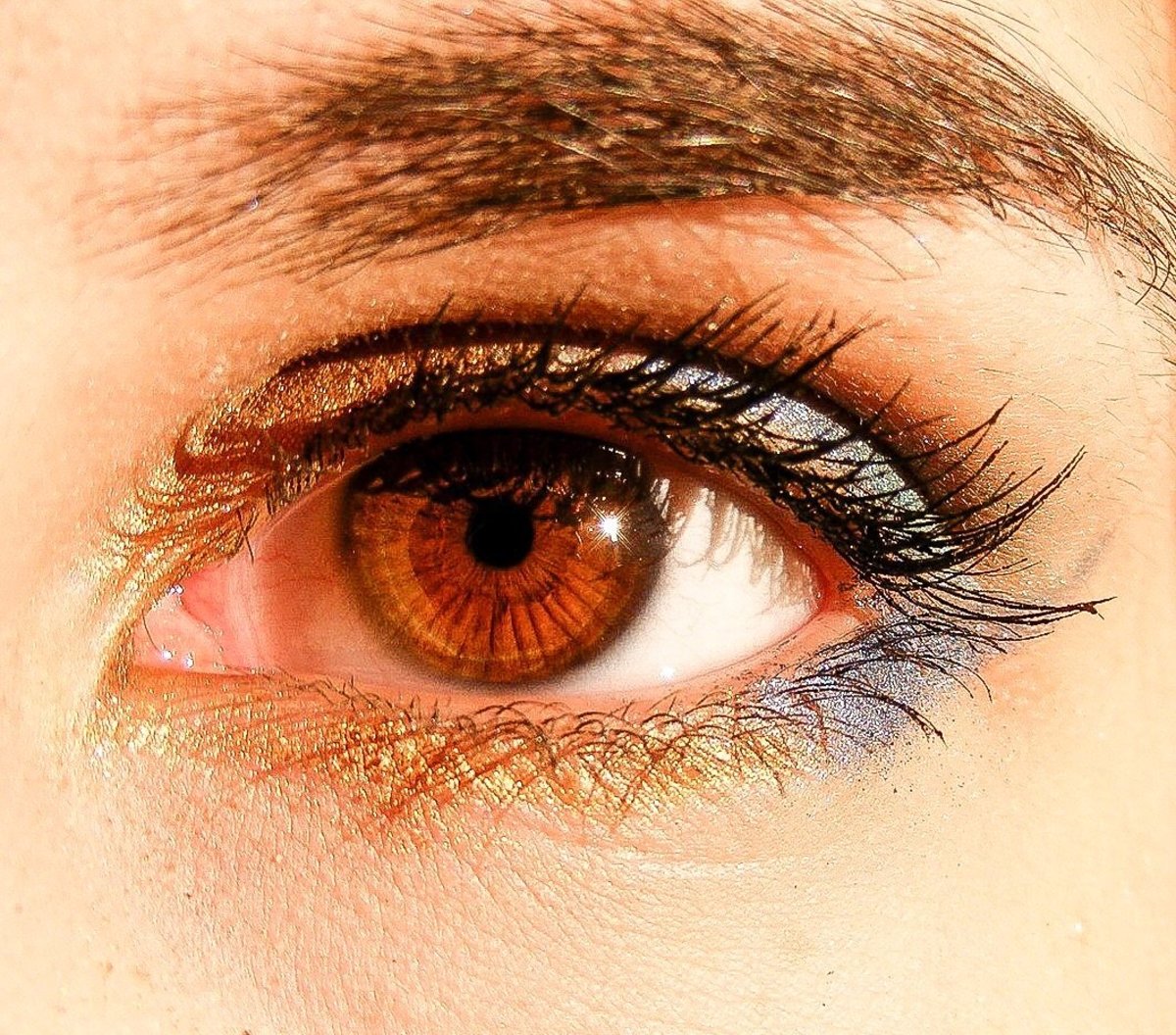 Brown eyes contain a lot of the pigment known as eumelanin.