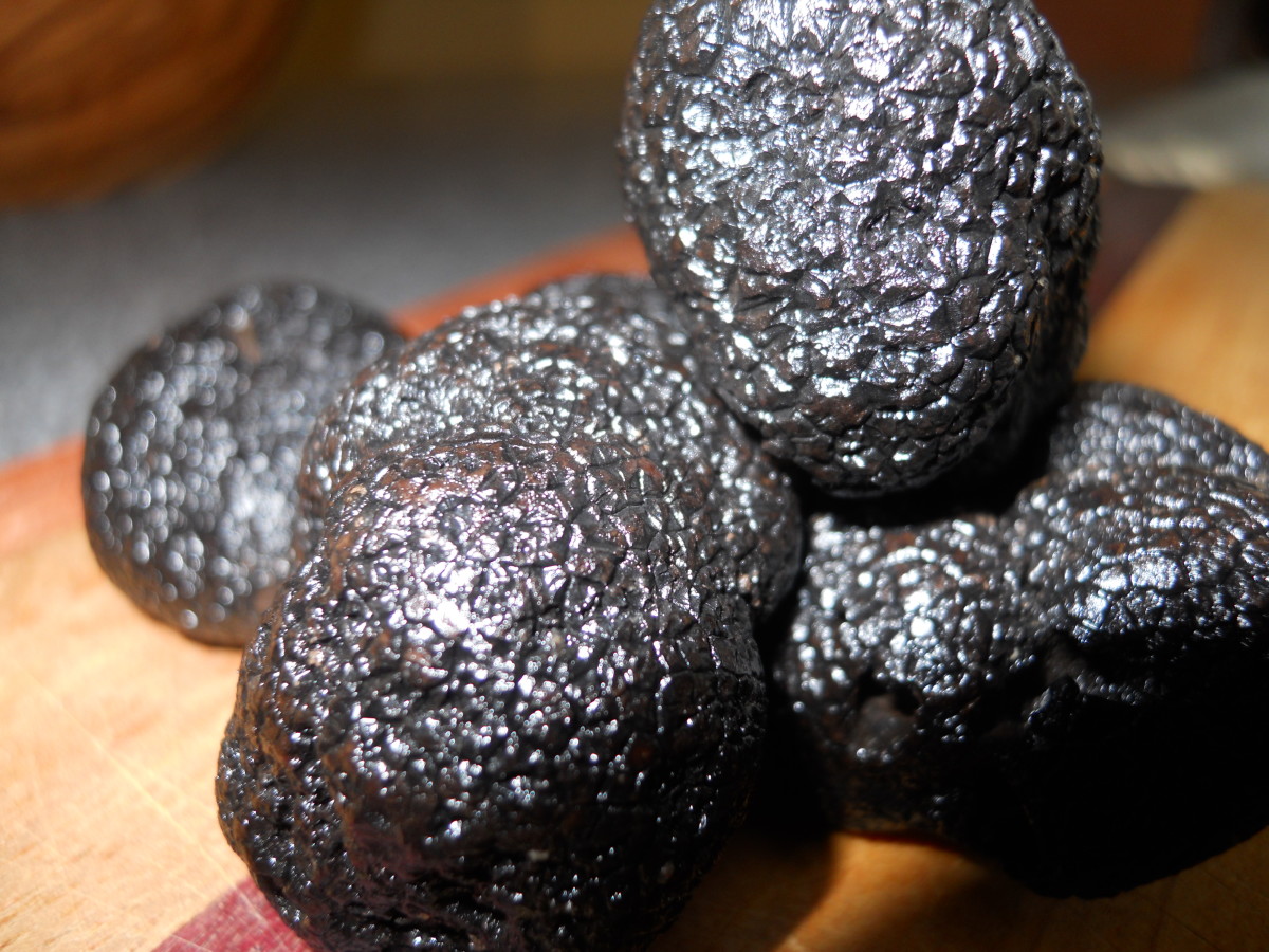 What Are Truffles? (No, Not the Chocolate Kind!)