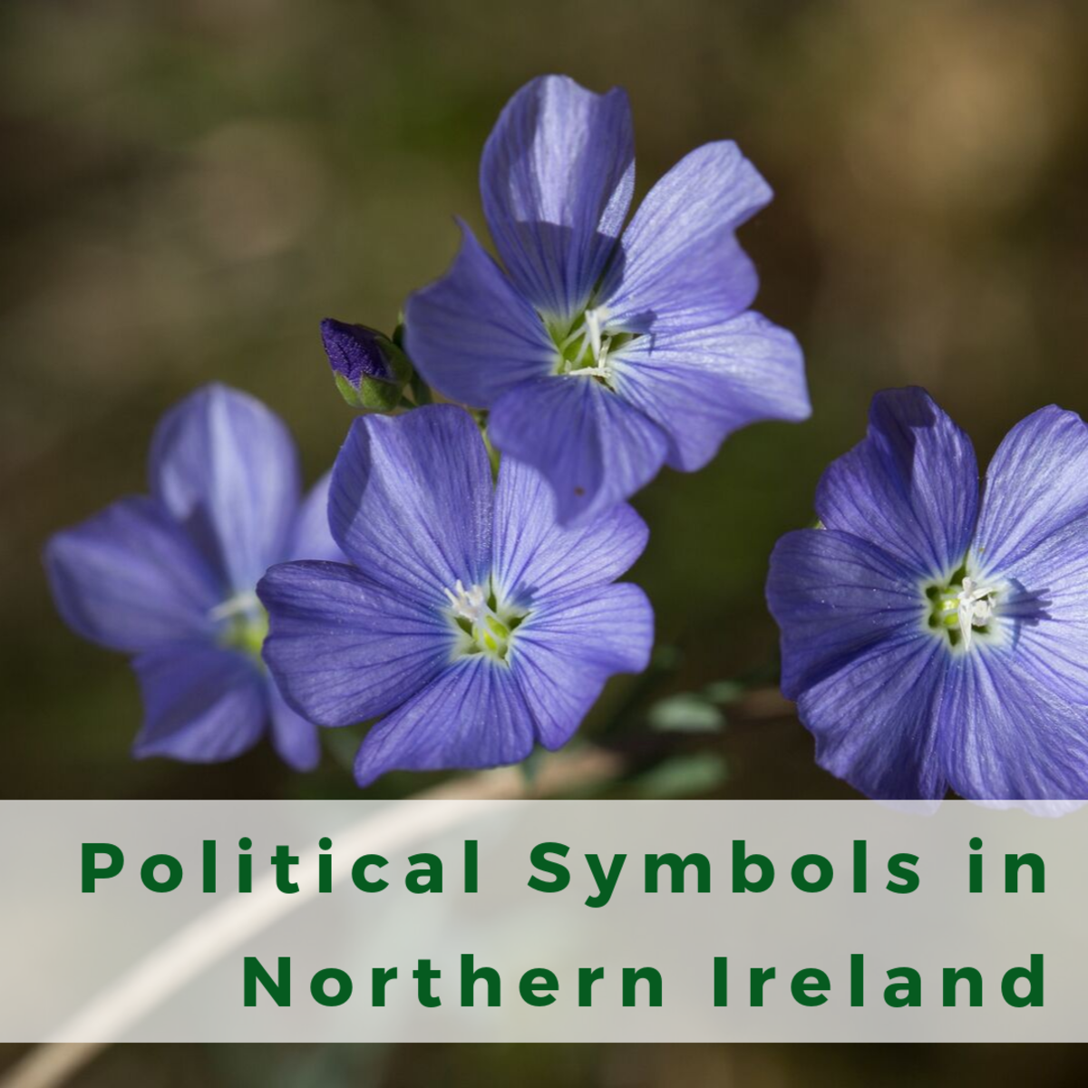 A Guide to Shared and Contested Political Symbols in Northern Ireland