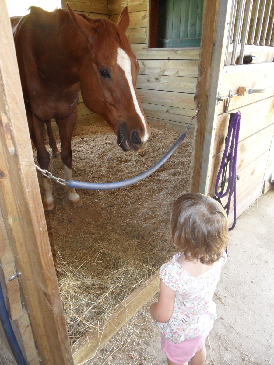 Why Horses Are Good for Little Girls
