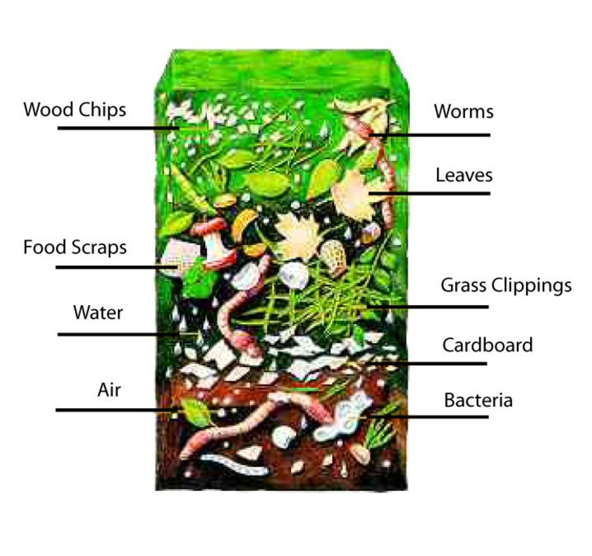 Worm Farm Diagram