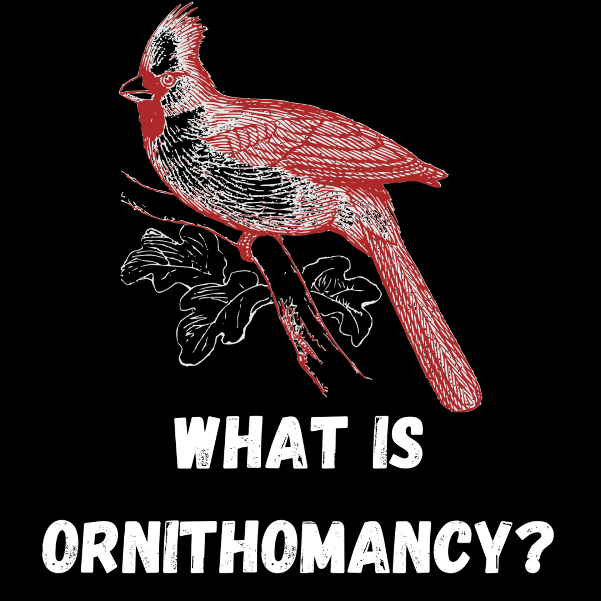 Ornithomancy: Divination From the Flight and Cries of Birds