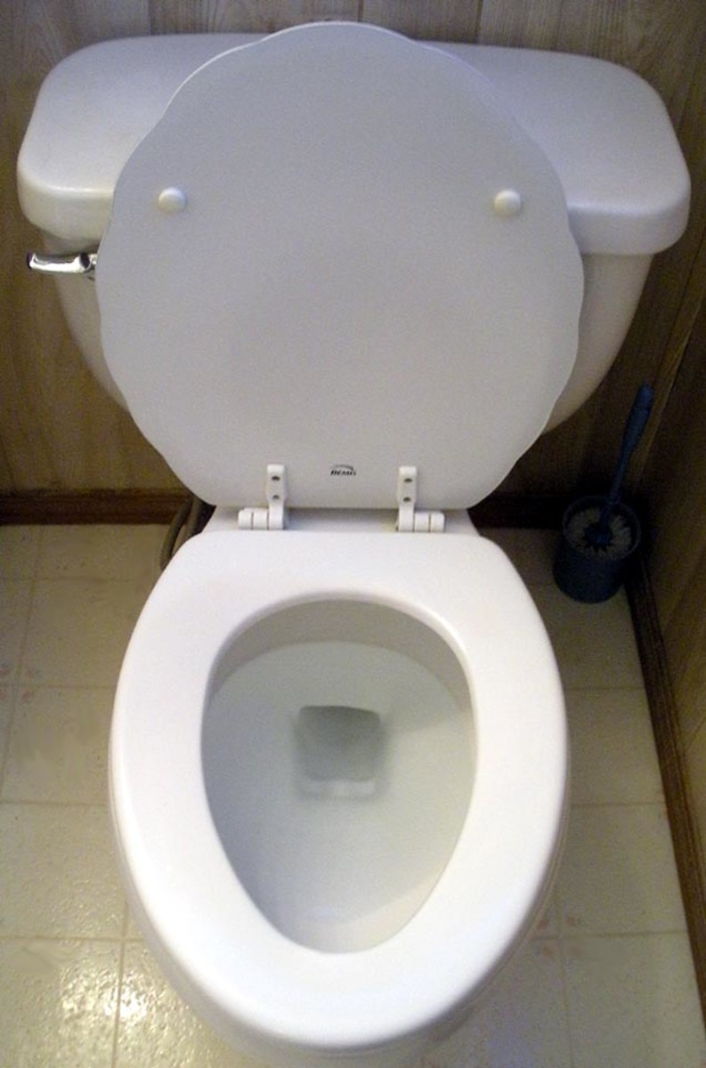 How to Prevent Toilet Clogs & Reasons for Clogs