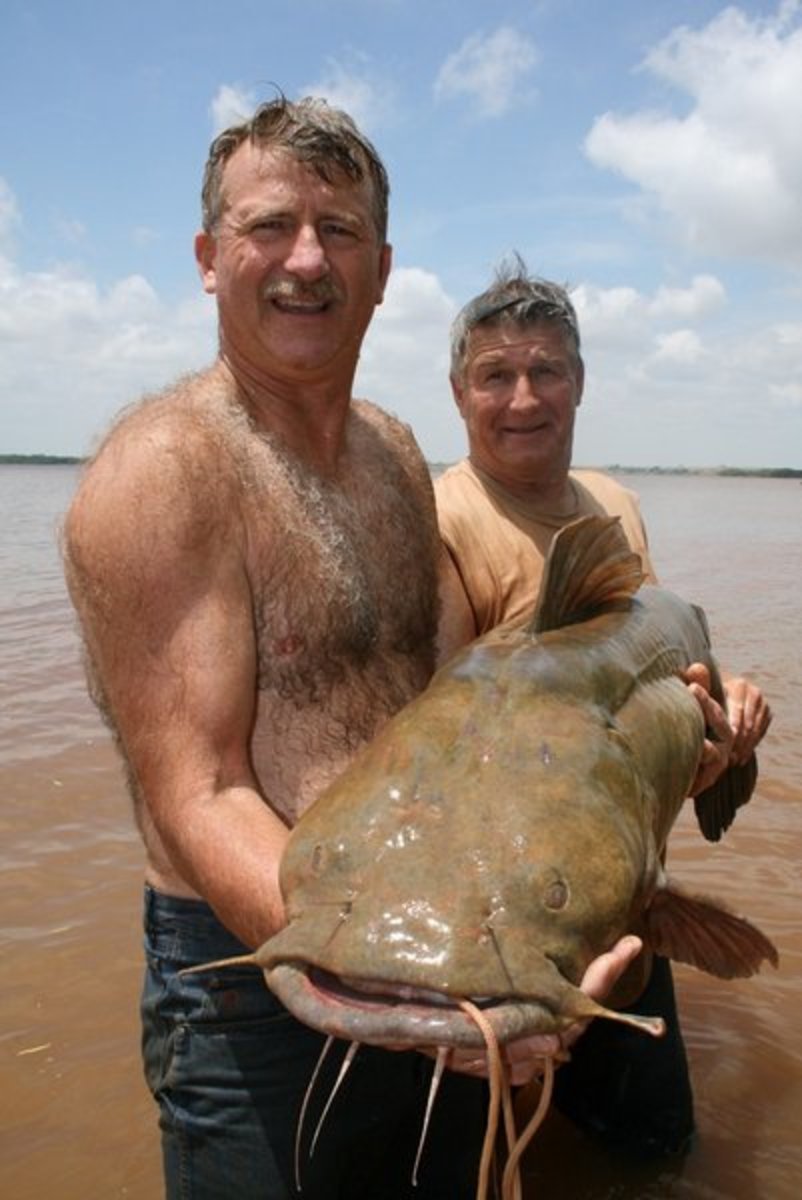 Hillbilly Handfishin' or Noodlin': Would You Fish for Catfish With Your Hands?