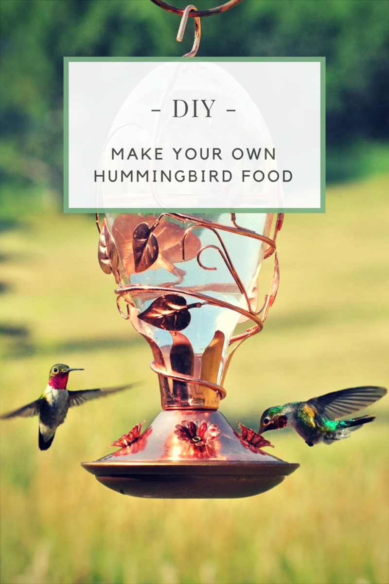A Super Easy Recipe for Hummingbird Food