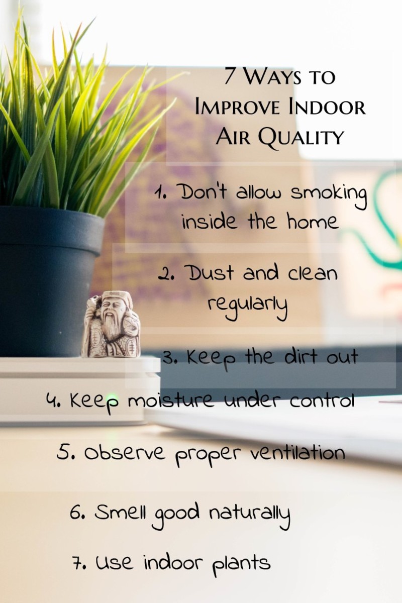 Indoor Air Quality: Essential Tips Enhance your home’s