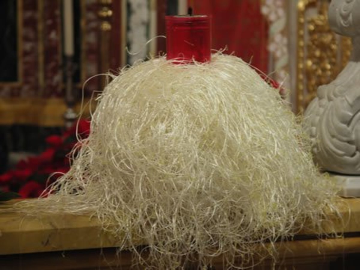 How to Grow Vetches (Gulbiena): Traditional Maltese Christmas Decorations