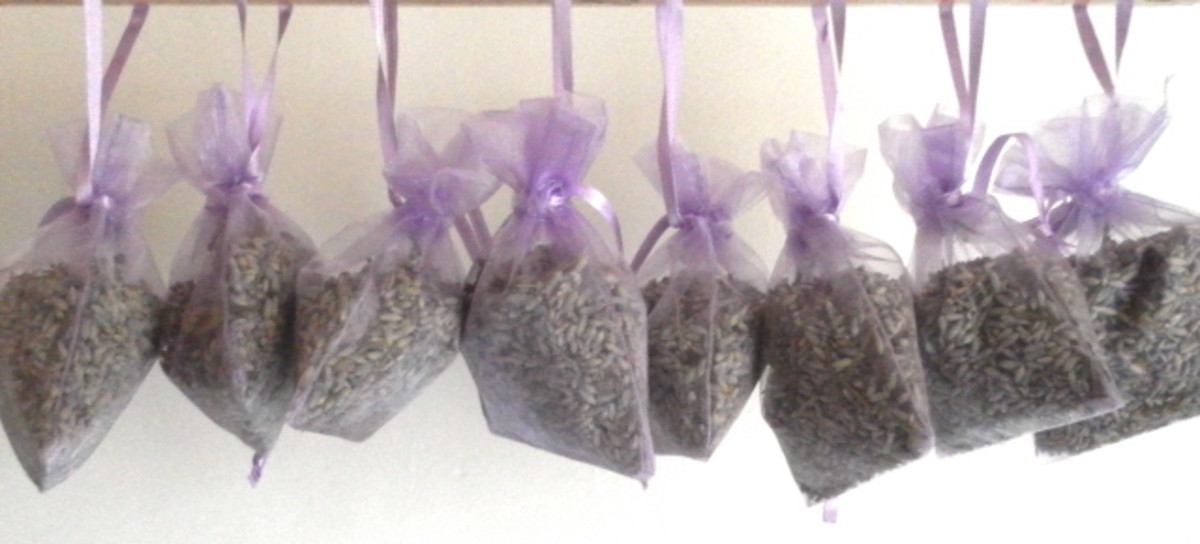 Fun With Dried Lavender Flowers: Craft Ideas and Recipes