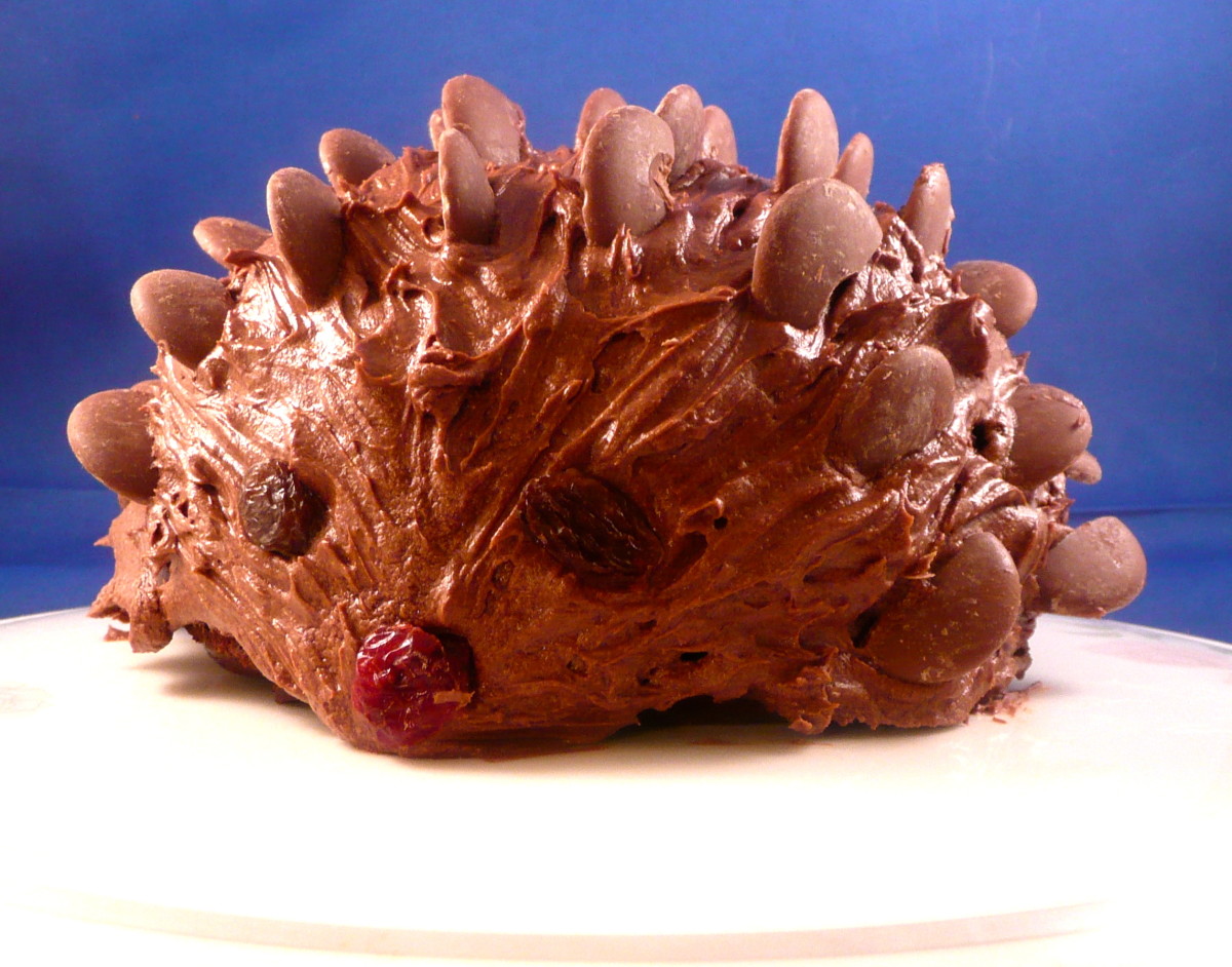 Meet Heidi the chocolate hedgehog. Or could this be Harry, or Henry? You decide!
