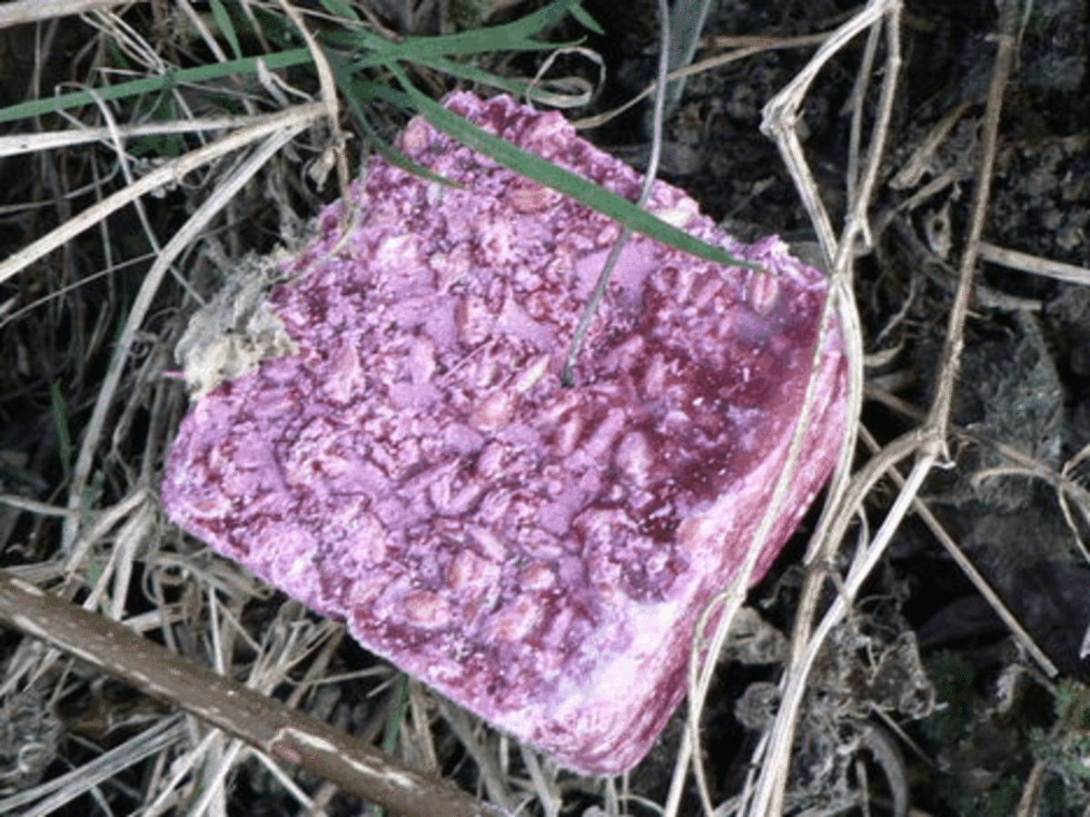 A block of rat poison 