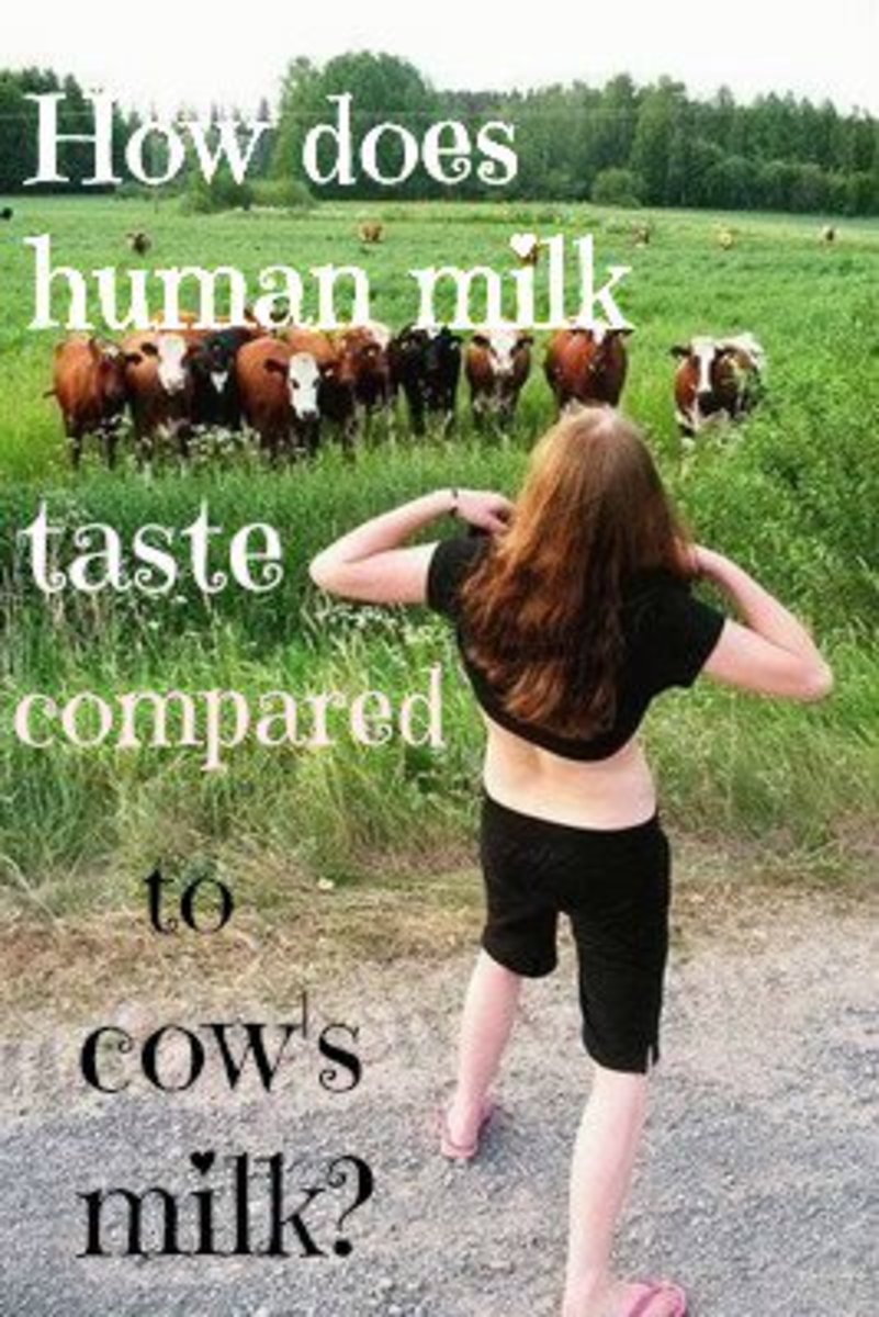 An Experiment Comparing the Taste of Cow's Milk to Human Breast Milk