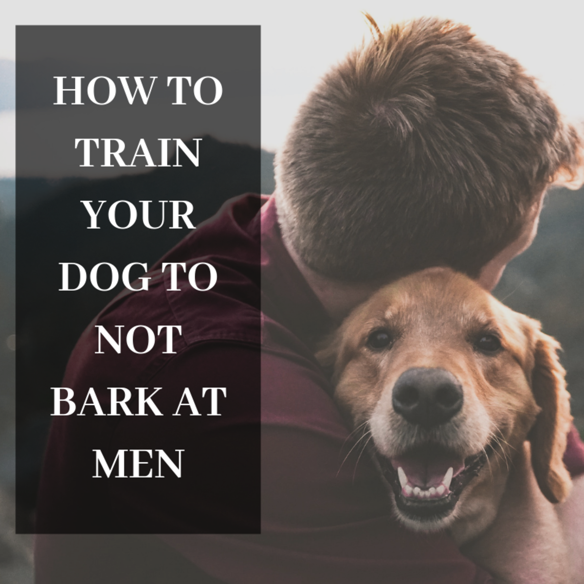 How to change your dog's attitude towards men.