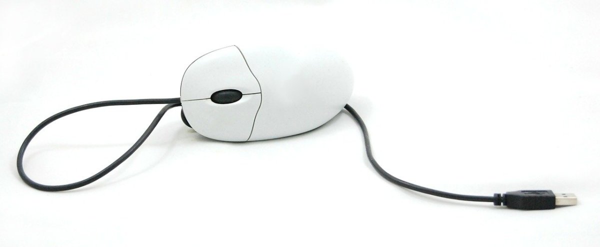 A USB computer mouse.