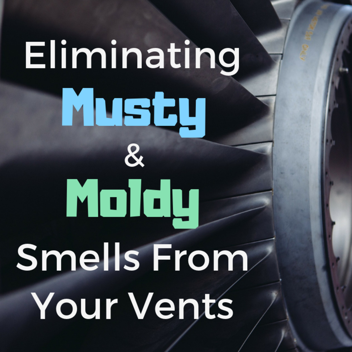 How To Remove Musty And Moldy Air Odors