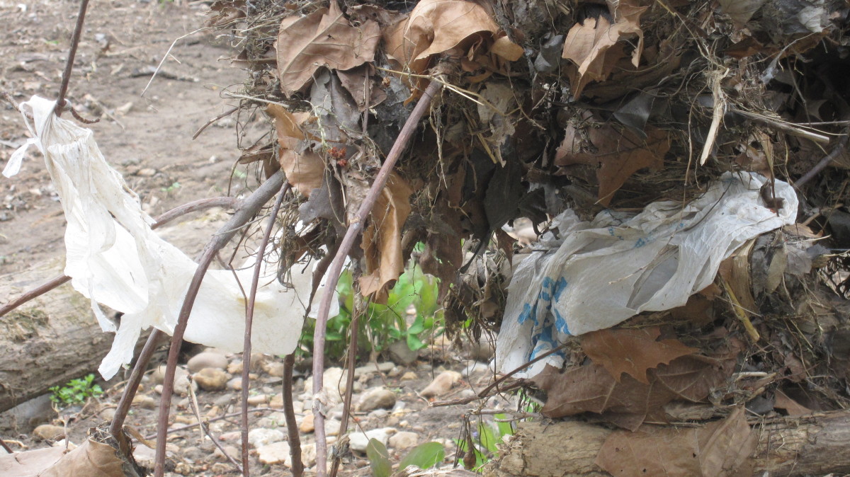 plastic-ban-in-the-philippines-one-city-at-a-time