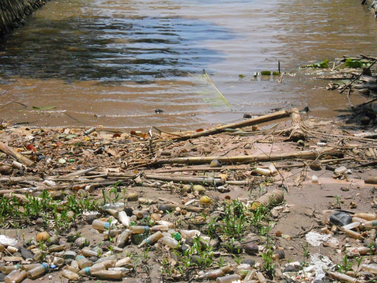 Water Pollution Solutions: Can We Clean It Up?