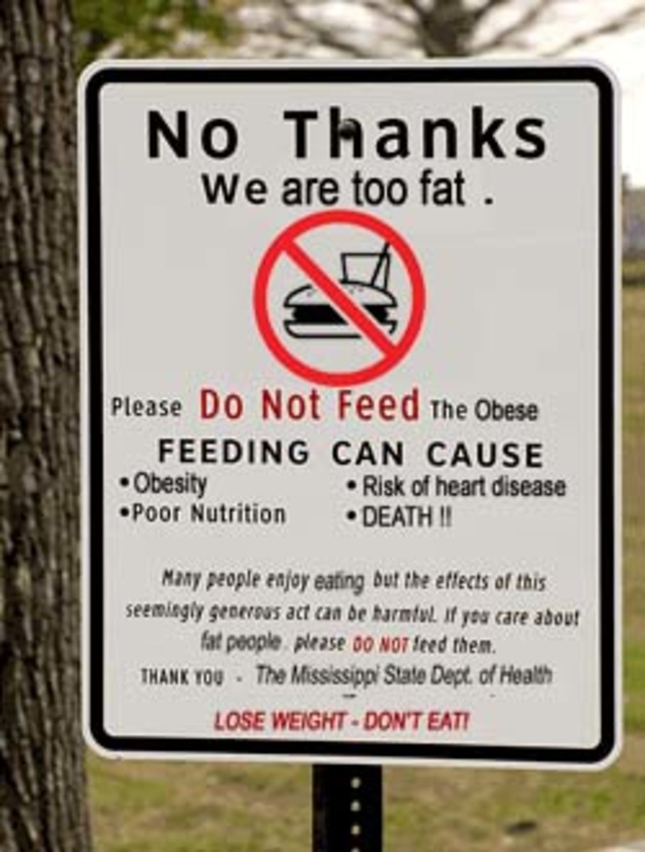 is-obesity-the-governments-responsibility