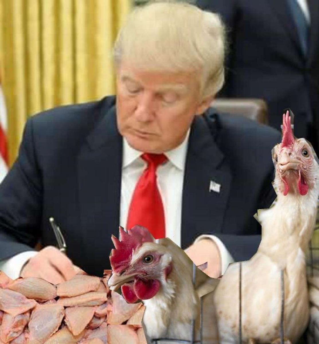 Donald Trump, chicken trade, South Africa 