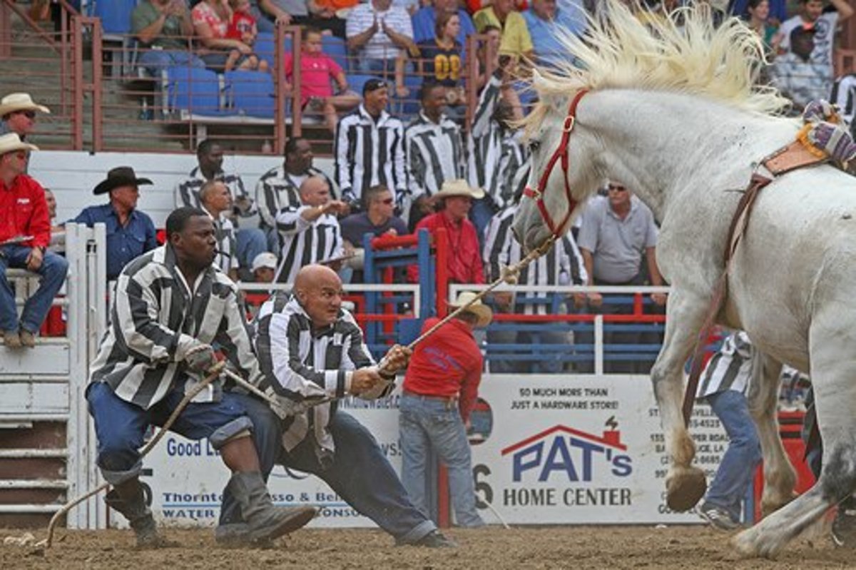 Rodeos in Angola Prison Dangerous Relief From Boredom Soapboxie