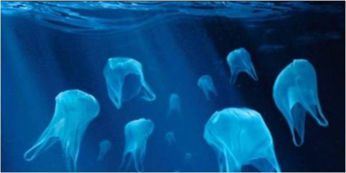 Plastic Bag 'Jellyfish'