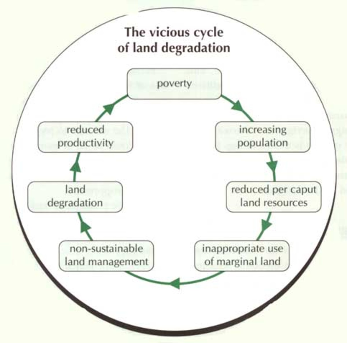 Issue of Land <b>Degradation</b> Soapboxie.