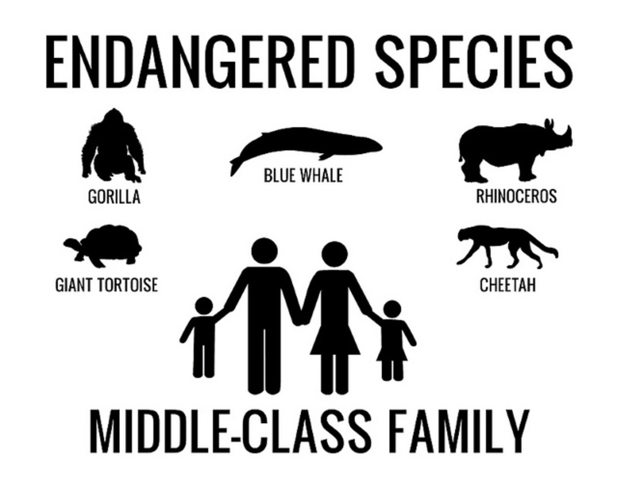 Is the middle-class family endangered?