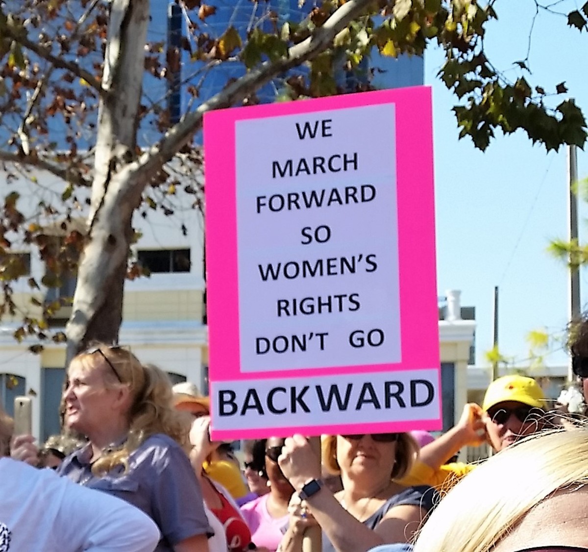 Photo Memories of the 2017 Orlando Women's March