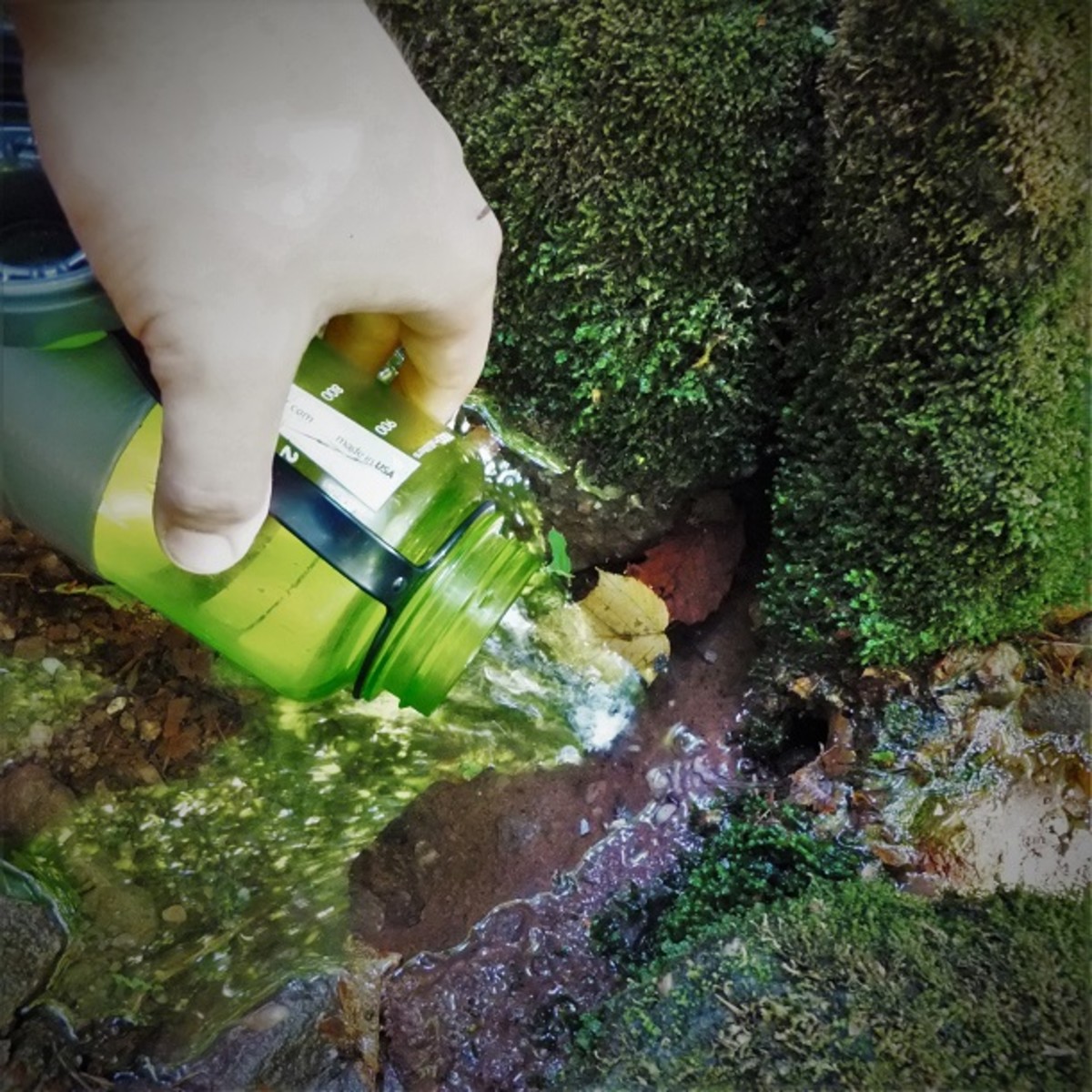 Scooping water from a stream with a Nalgene. 