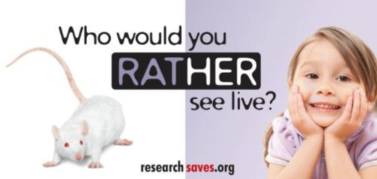 ethical-dilemma-should-animal-testing-for-medical-purposes-be-allowed