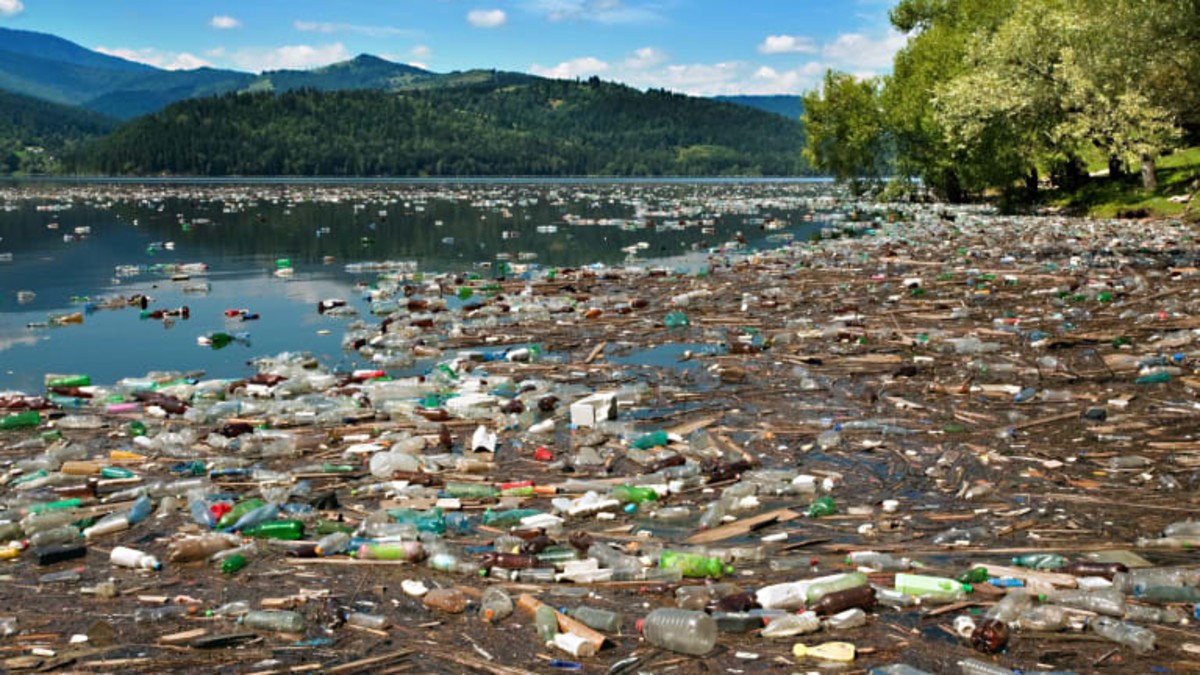 The Sources And Impacts Of Water Pollution Soapboxie