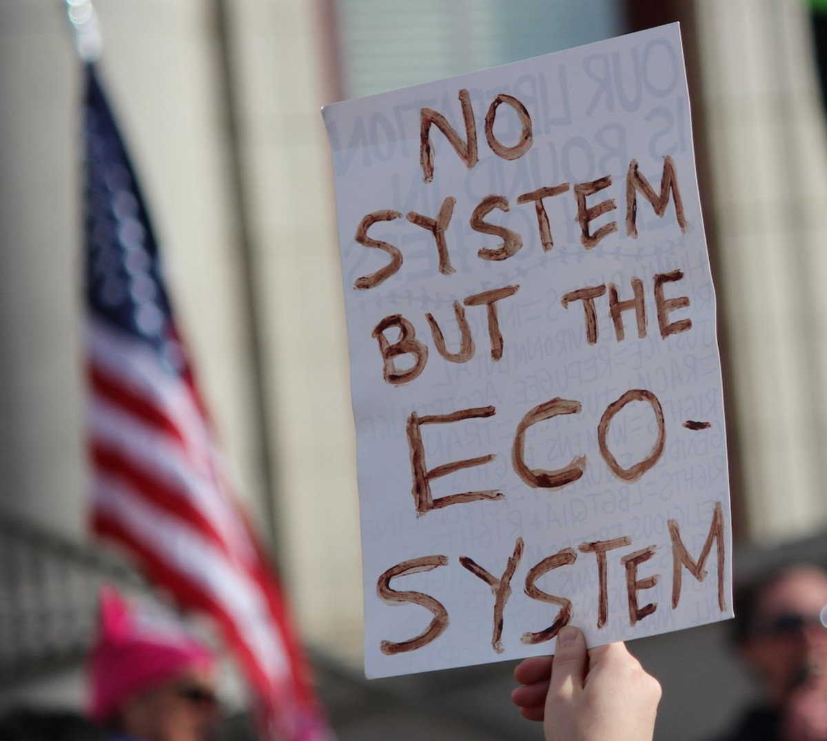 No System but the Ecosystem - Sign at a #NoDAPL Protest In Colorado Springs