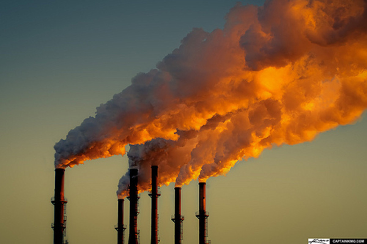 Carbon Pricing: Dollars and Sense