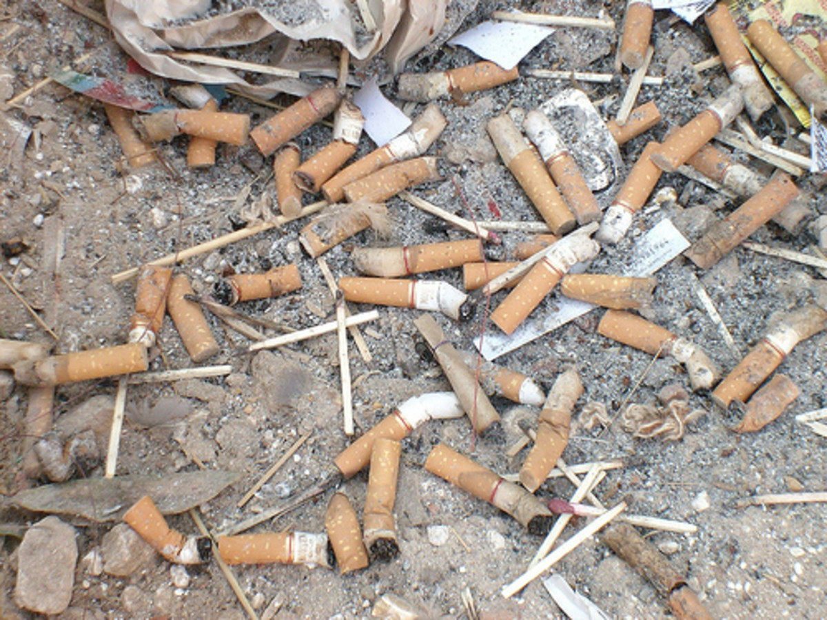 The Toxic Trash Of Cigarette Butts Soapboxie   The Toxic Trash Of Cigarette Butts 