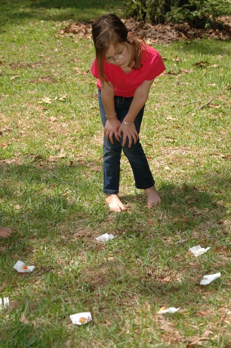 insect themed science experiments