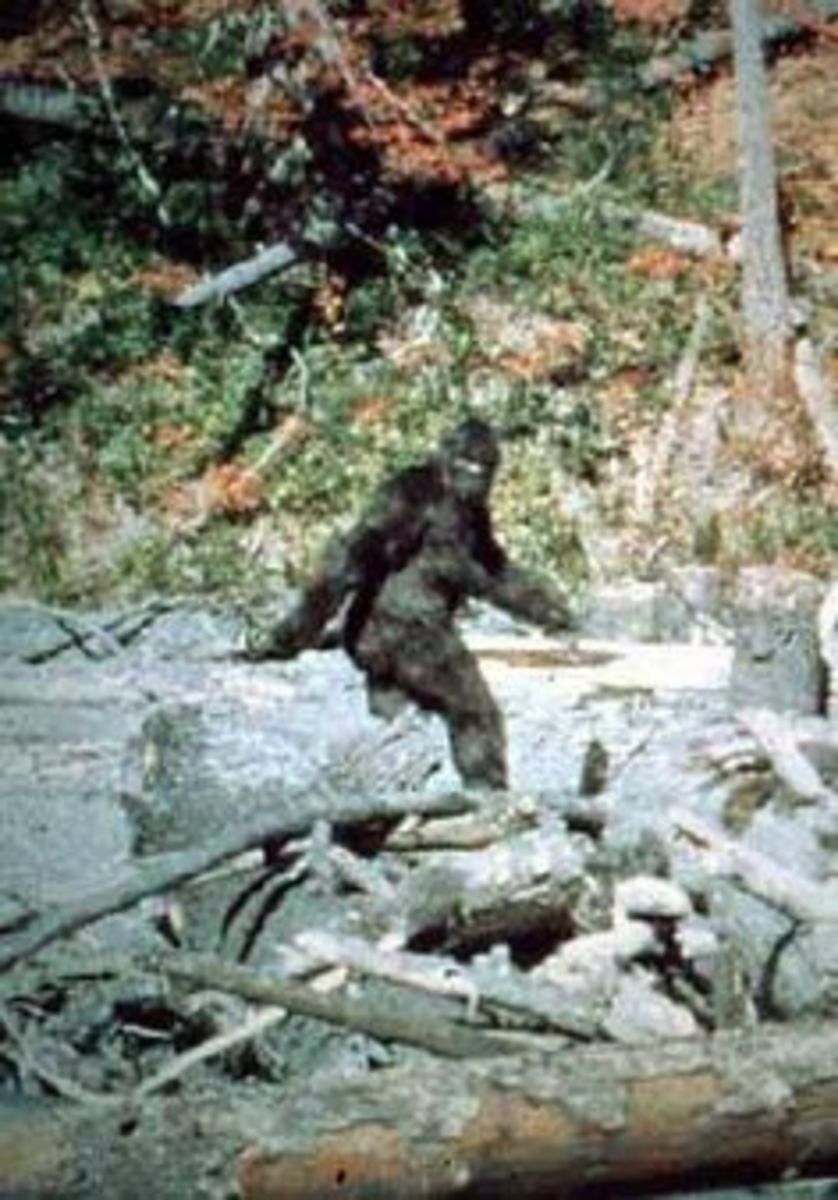 Was Bigfoot Placed on Earth by Ancient Aliens?